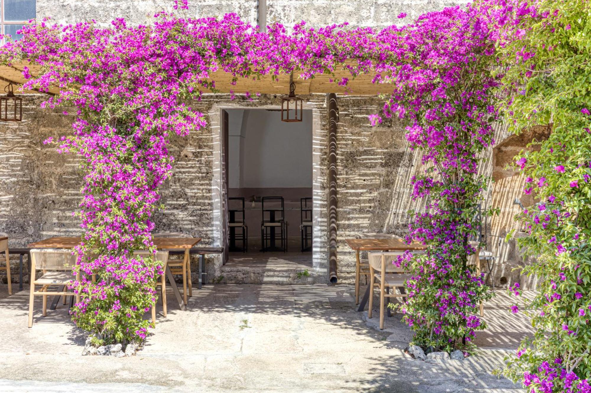 Biomasseria Santa Lucia أليسانو المظهر الخارجي الصورة