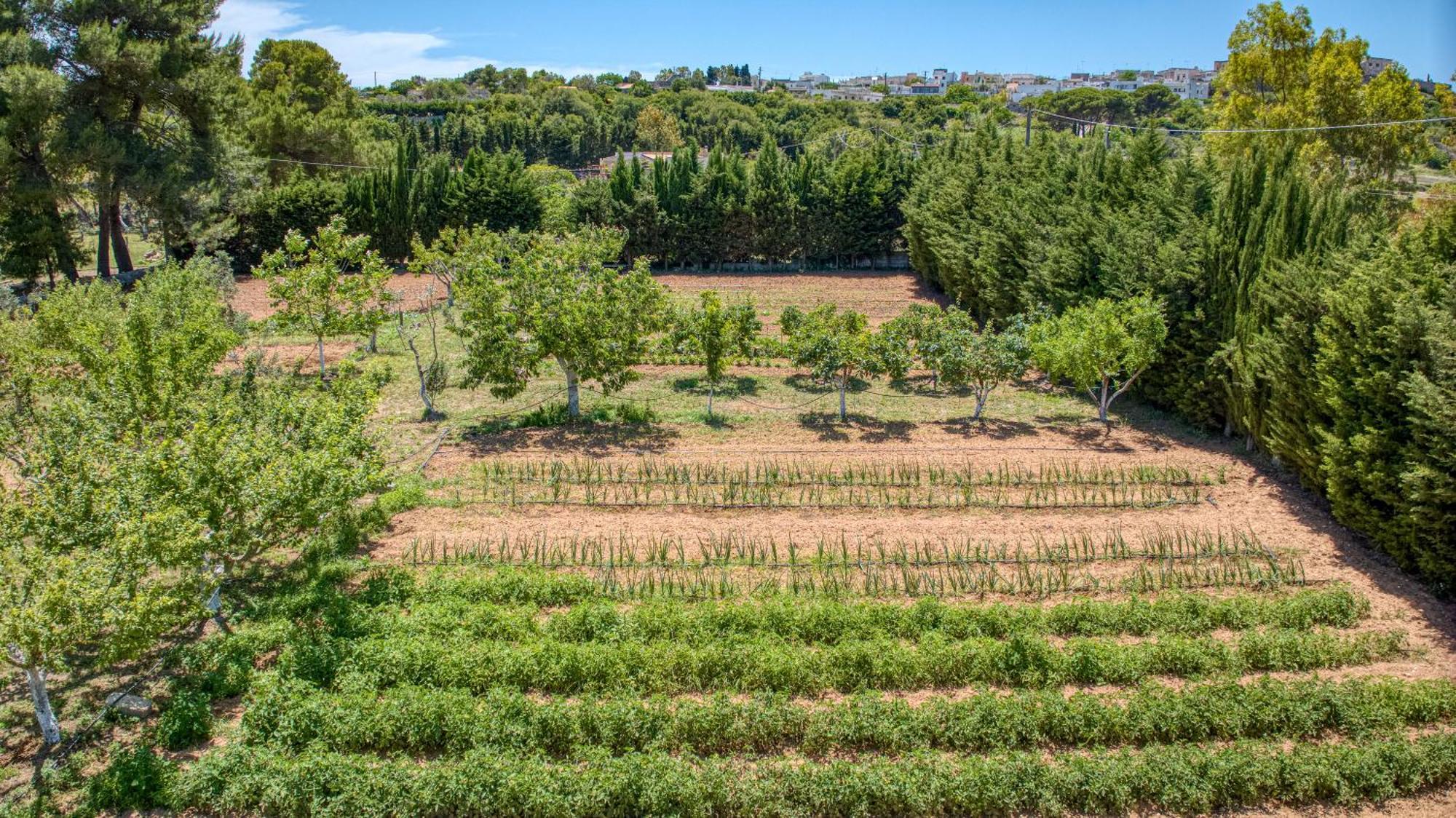 Biomasseria Santa Lucia أليسانو المظهر الخارجي الصورة
