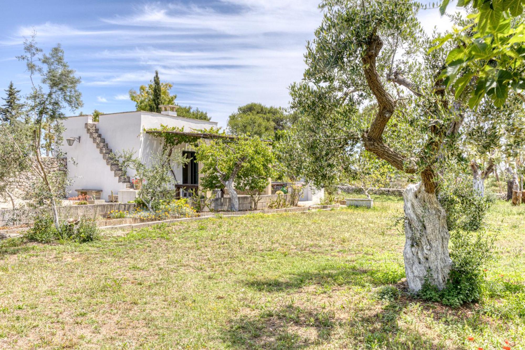 Biomasseria Santa Lucia أليسانو المظهر الخارجي الصورة